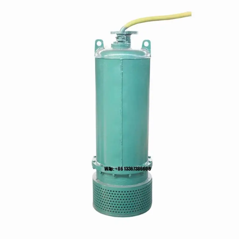 Submersible Pump Sewage - 高効率鋳鉄製遠心式汚水揚水ポンプ地下鉱山用水中排水ポンプ